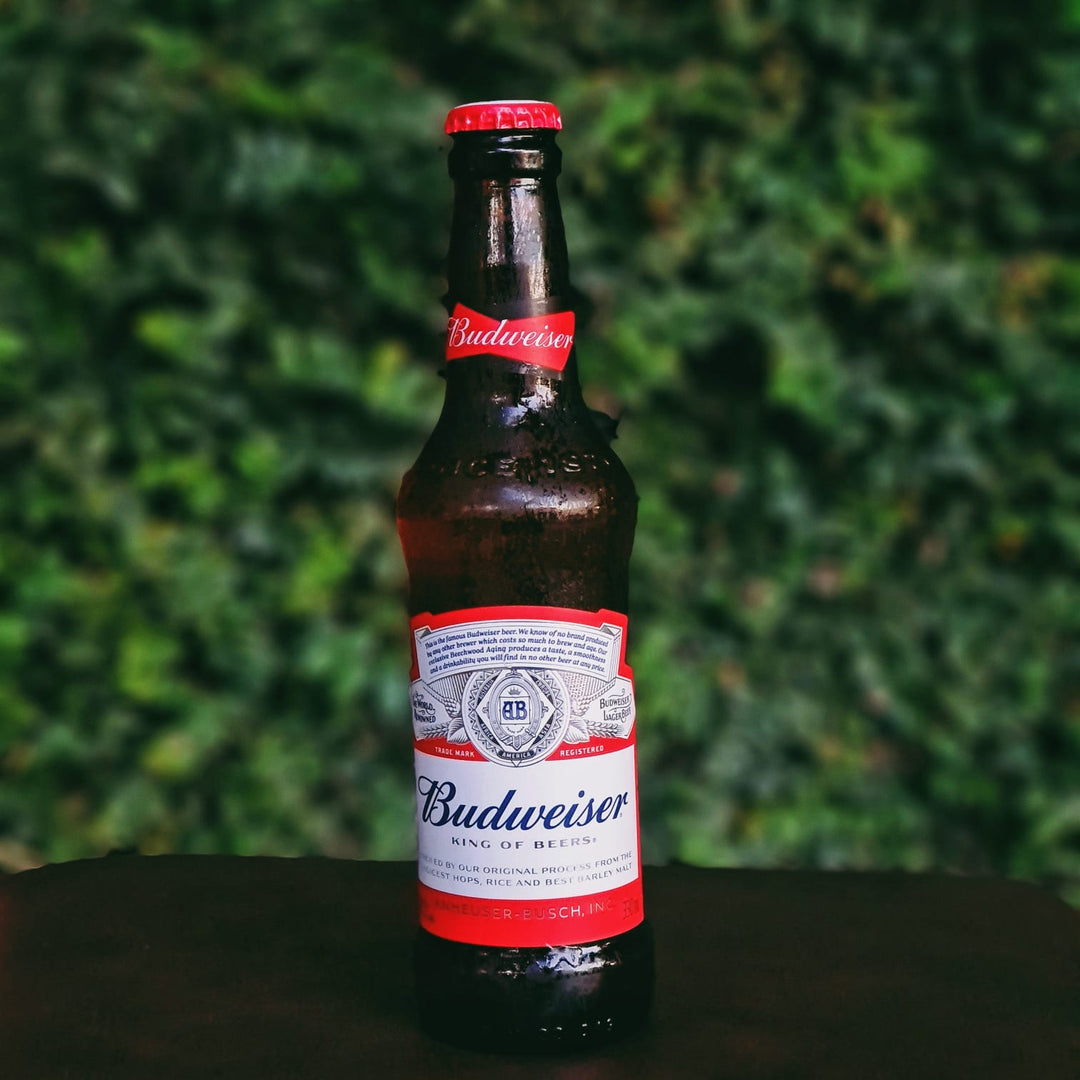 Cerveja Budweiser